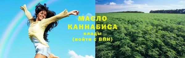 дмт Богородицк