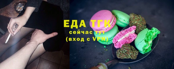 дмт Богородицк