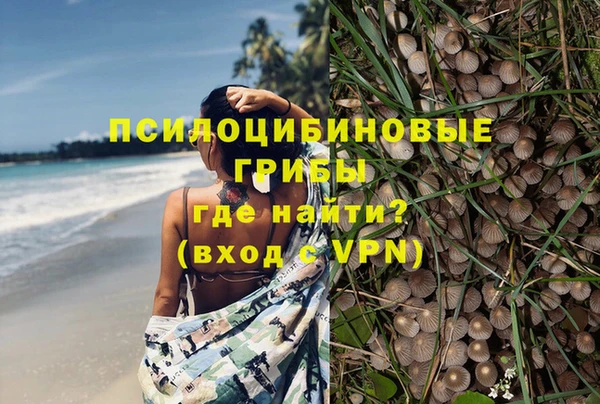 ALPHA PVP Богородск