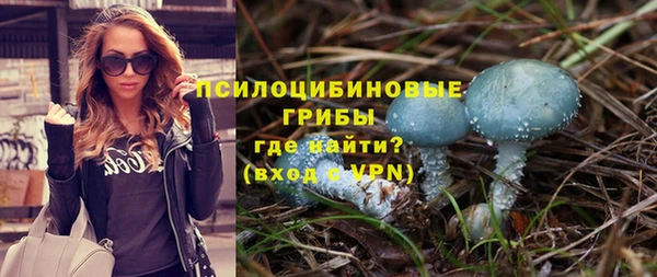 мдма Богданович