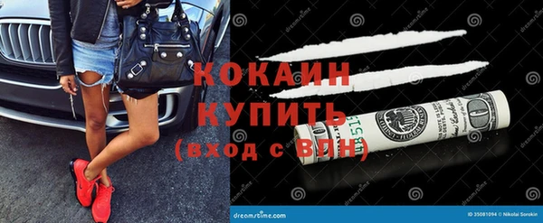 дмт Богородицк