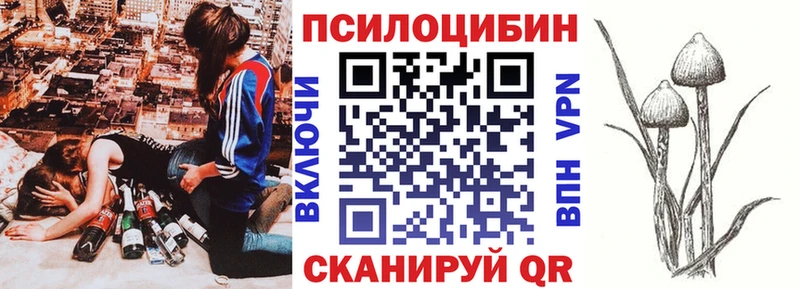 Галлюциногенные грибы Psilocybine cubensis  Северо-Курильск 